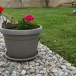 Tomislav *